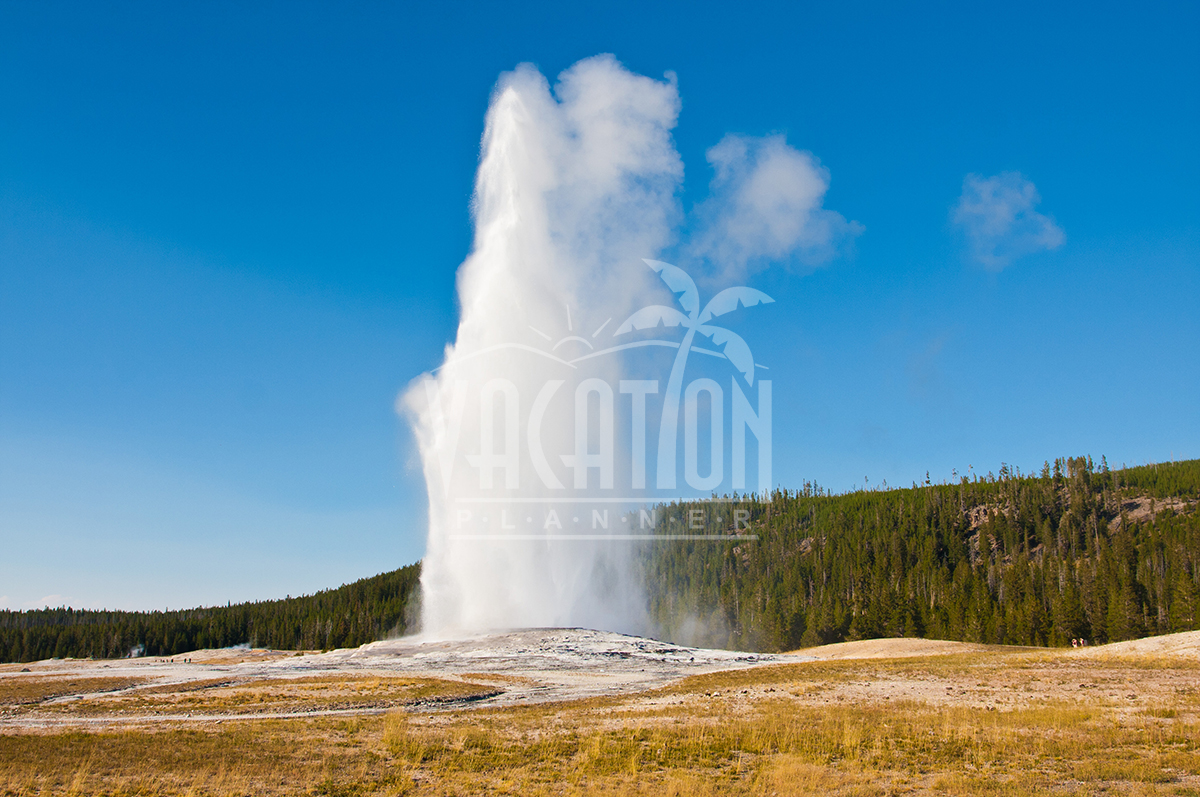 yellowstone-and-mtrushmore-tour-from-los-angeles-3