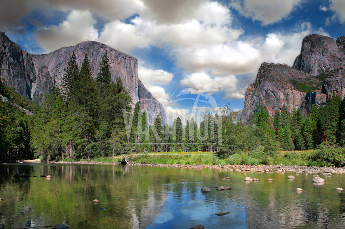 yosemite-park-coach-tour-from-san-francisco-1